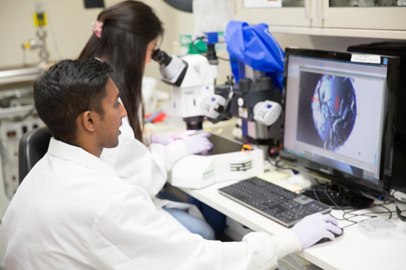  PULSE summer interns Yash Rao and Lindsey Zhang use a stereoscope to observe crystals grown in microbatch wells.